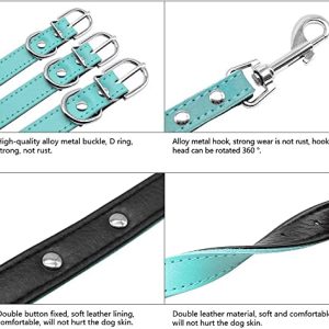 Didog Soft Leather Padded Dog Collar & Leash Set: Personalized Elegance