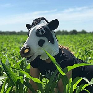 Black Cow Head Mask for Adults