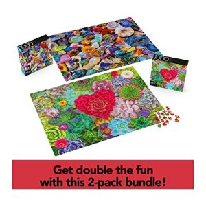 Succulents & Rocks Jigsaw Puzzles 2-Pack