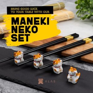 Alas Sushi Making Kit: Complete Set for Beginners & Pros