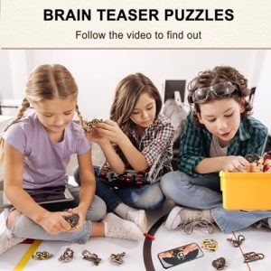 Disentanglement Brain Teaser Puzzles Set