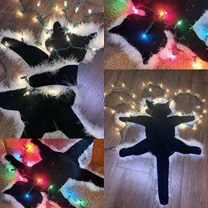 National Lampoon’s Funny Fried Cat Rug Light Decoration