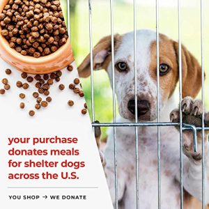 Guardian Angel Dog Memorial Solar Light