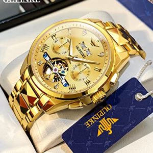 OUPINKE Men’s Skeleton Mechanical Watch – Luxury Automatic