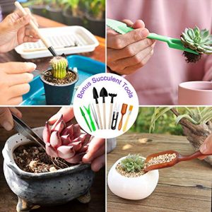 Tudoccy 83 Piece Garden Tools Set – Succulent Tools Included