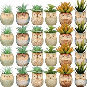 24 Pack Owl Succulent Plant Pots