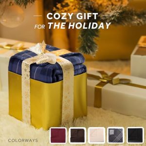 Sunbeam Royal Ultra Heated Personal Throw – Rodeen Blue Plaid