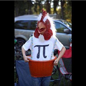 Rooster Animal Head Mask