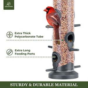Premium Tube Bird Feeders – Set of 2 for Outdoors Hanging