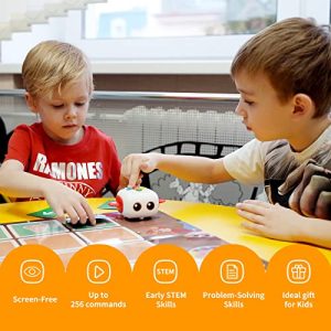 Matatalab TaleBot Pro: Coding Robot for Kids
