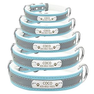 Senristar Personalized Reflective Dog Collar Set: Custom Gift