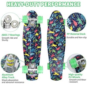 22″ Mini Cruiser Skateboard – Complete Skateboard for Kids