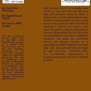 Visa $25 Gift Card: Convenient Gifting Solution