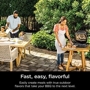 Ninja Woodfire Pro 7-in-1 Grill & Smoker: Ultimate Outdoor Cooking Companion