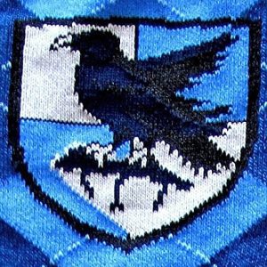 Harry Potter Ravenclaw Knee High School Socks