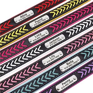 Didog Braided Leather Dog Collar Set: Personalized Elegance
