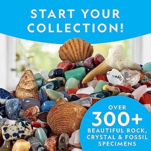Nat Geo Rock Collection Box: Geology Science Kit