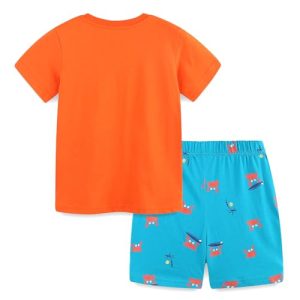 Toddler Boy Surfboard/Crab Tee & Shorts Set – Cotton
