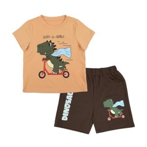 Little Bitty Toddler Boy Beach Tee & Shorts Set