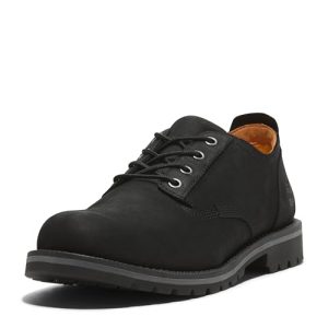 Timberland Men’s Redwood Falls Waterproof Shoe