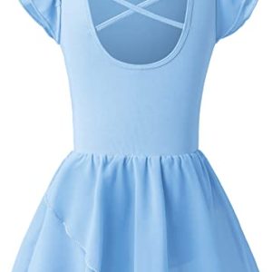 Toddler Girls Ballet Dance Leotard & Tutu Dress – Blue