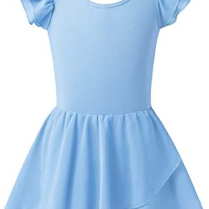 Toddler Girls Ballet Dance Leotard & Tutu Dress - Blue