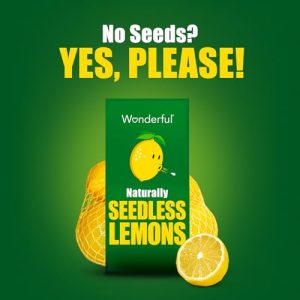 Wonderful Seedless Lemons – 1lb Bag (Single Pack)