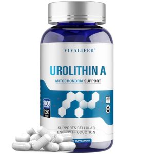 DQQI Urolithin A 2000mg – Healthy Aging & Cell Repair Support