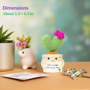 Handmade Crochet Cactus Plush Plant Get Well Gift for Women