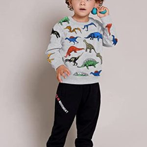 Boys Dinosaur Sweatshirt – Cotton Crewneck Pullover Grey