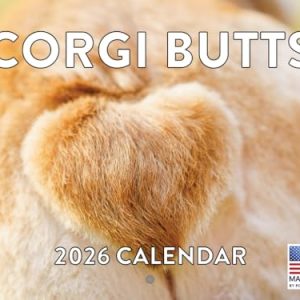 Corgi Butt 2026 Monthly Wall Calendar - USA Made