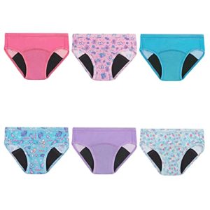 Hanes Girls Toddler Potty Trainer Briefs – 6 Pack