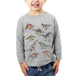 Toddler Boys Dinosaur Long Sleeve Tee Shirt (5T)