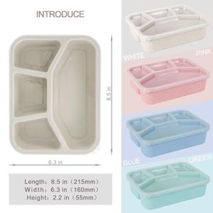 4-Pack Bento Lunch Box – Versatile 4-Compartment Containers