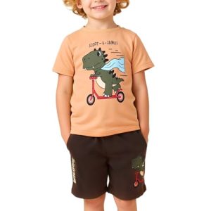 Little Bitty Toddler Boy Beach Tee & Shorts Set