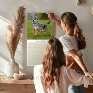 2025-2026 Chihuahua Dog Breed Monthly Wall Calendar