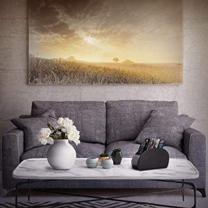 Londo 5-Pocket PU Leather Remote Control Holder