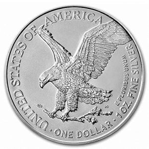 2024 American Silver Eagle 1oz Bullion Coin + COA