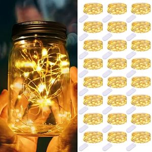 litogo 24-Pack Warm White Mini LED Fairy Lights