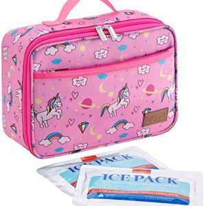 Lifewit Freezable Lunch Box with Ice Packs - Pink 5L