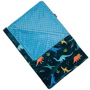 Wildkin Jurassic Dinosaurs Plush Throw Blanket Kids