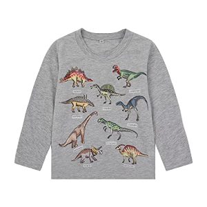 Toddler Boys Dinosaur Long Sleeve Tee Shirt (5T)