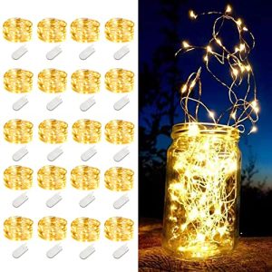 LEDIKON 20-Pack Warm White Silver Wire Fairy Lights