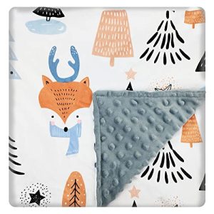 Fox Print Baby Blanket: Soft Plush Minky for Newborns