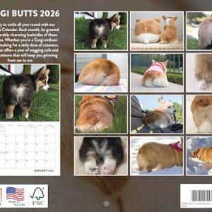 Corgi Butt 2026 Monthly Wall Calendar – USA Made