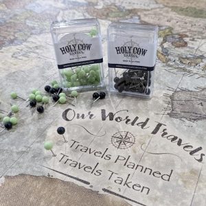 Personalized Vintage Earth Tone Push Pin World Map