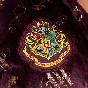 Harry Potter Women’s Purple Robe – Small Size