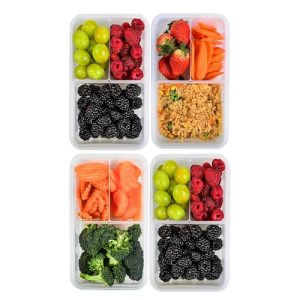 FIT Strong & Healthy 4-Pack Bento Lunch Box Set