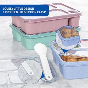 4-Pack Kids Bento Box Set – Adult Snack Containers