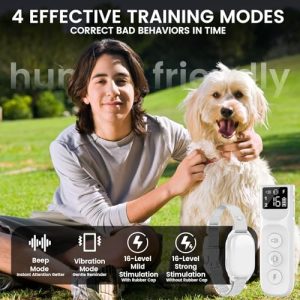 Humane Dog Bark Collar – Remote Control Training for All Breeds